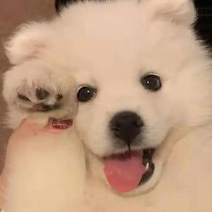 小女生吃小头头视频
